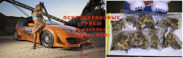 каннабис Верея