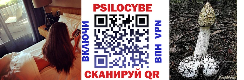 Псилоцибиновые грибы прущие грибы  купить закладку  Королёв 
